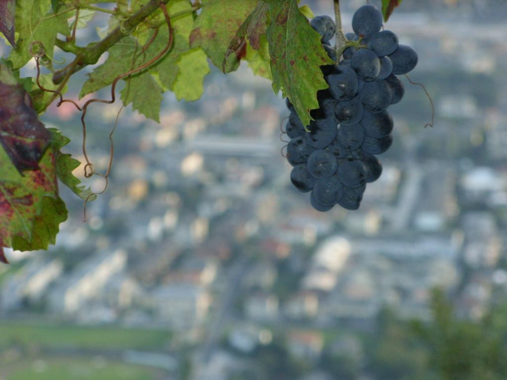 Agriturismo Da Ysy Civo Dış mekan fotoğraf